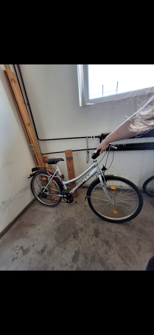 Rower damka vortex M