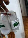 Sandália Lacoste Original