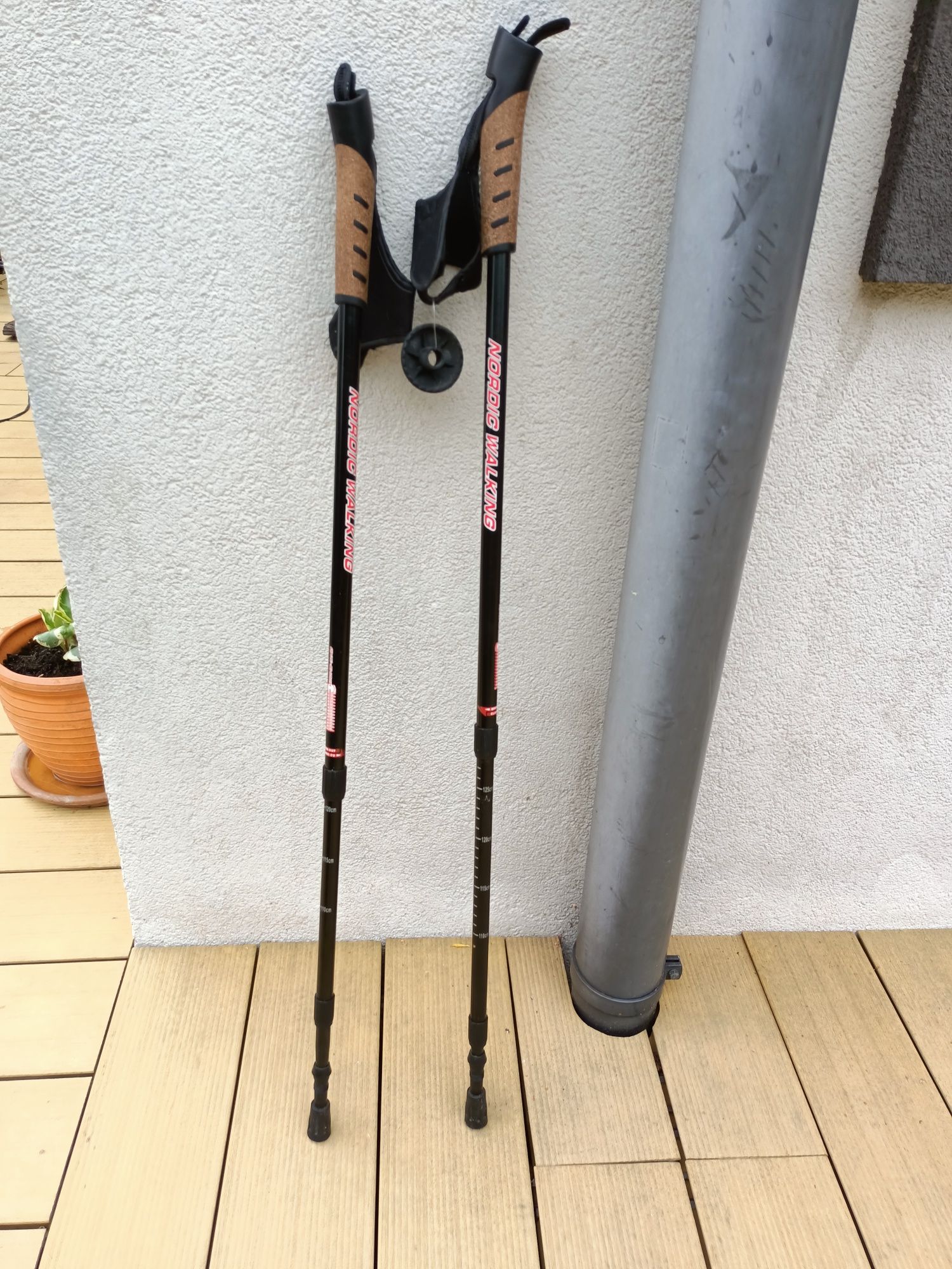 Kijki nordicwalking do chodzenia