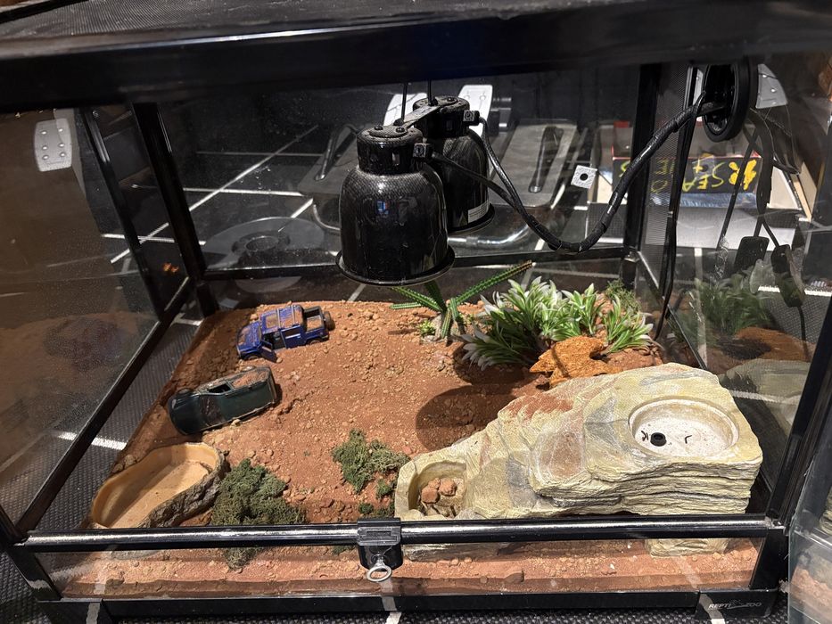 Terrarium gekon lamparci 60x45x45