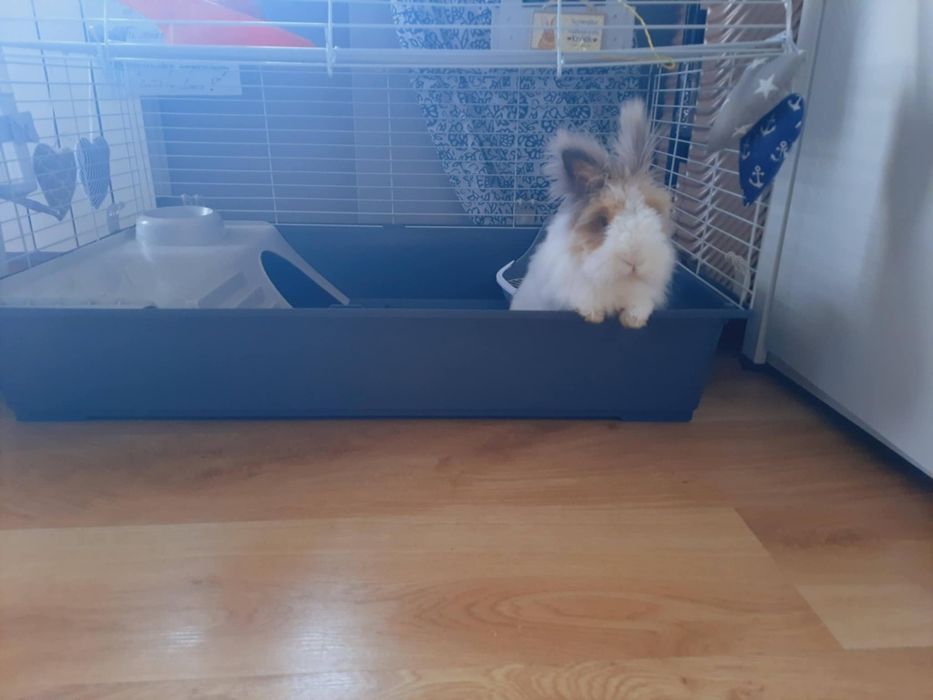 Klatka FERPLAST Rabbit 80 cm