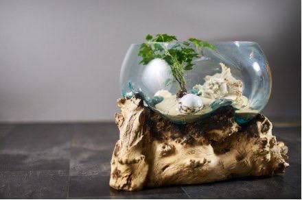 Вази Балі з кореня дерева тік