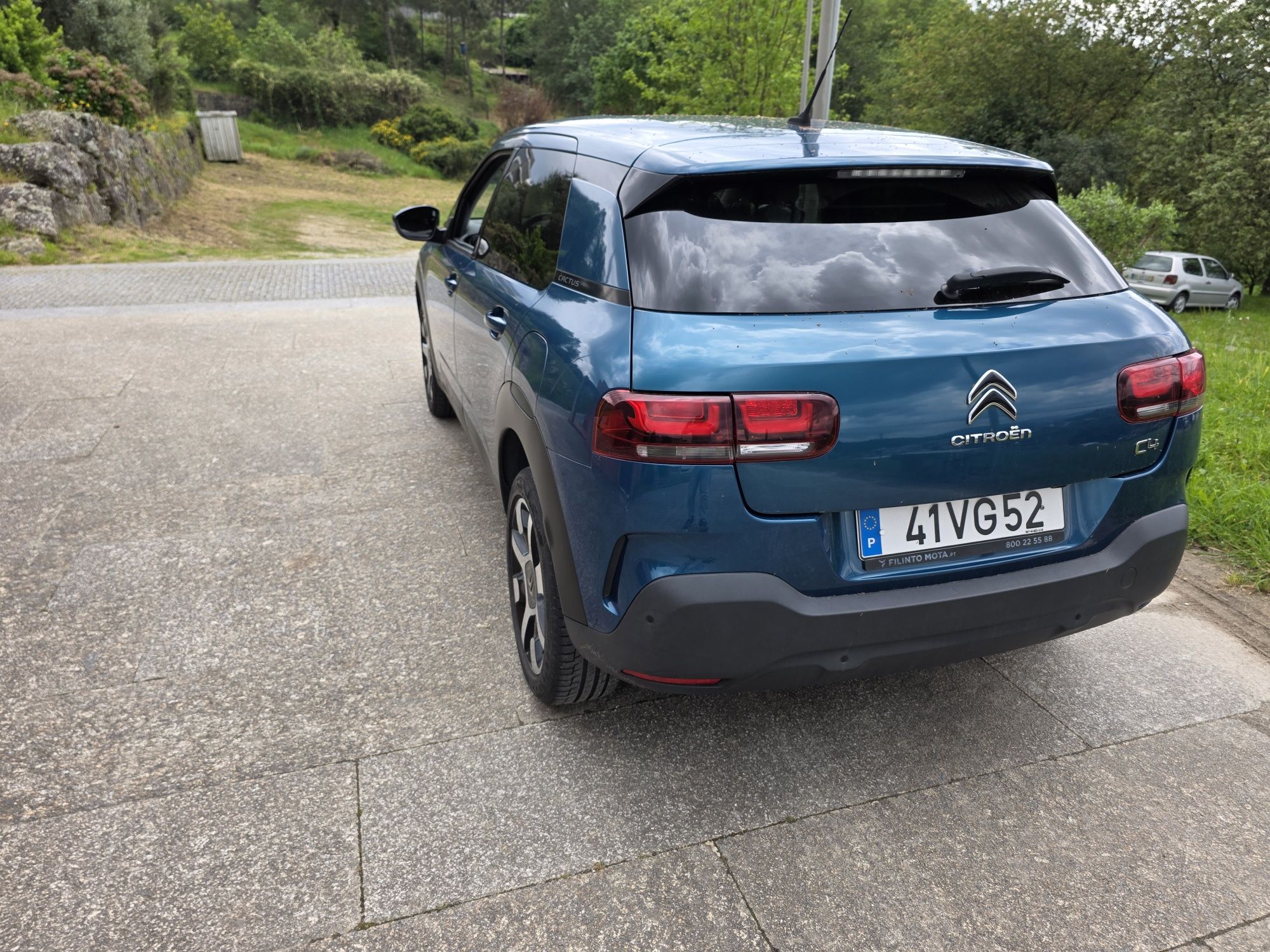 C4 cactus Shaine