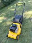 Austriacka kosiarka spalinowa z silnikiem briggs & stratton