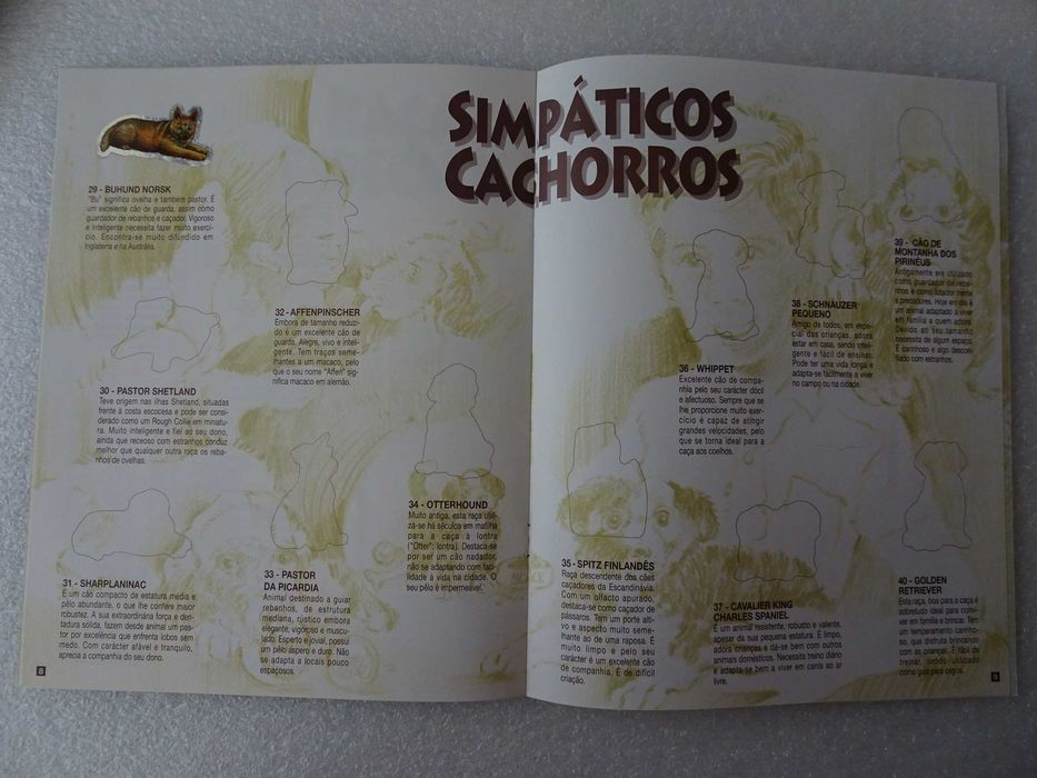 Caderneta cromos incompleta (tem 6cromos Bollycao)- O teu melhor amigo