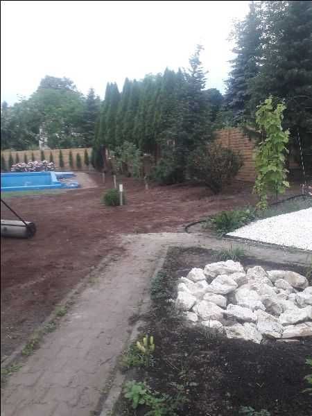 Przycinanie Tui, Pielęgnacja,Zakładanie trawników ,Wycinka,Karczowanie