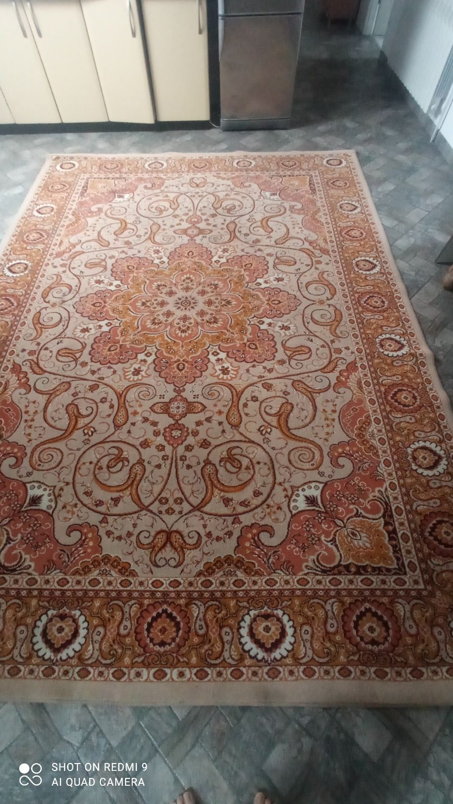 Dywan brązowo beżowy 3,42/250