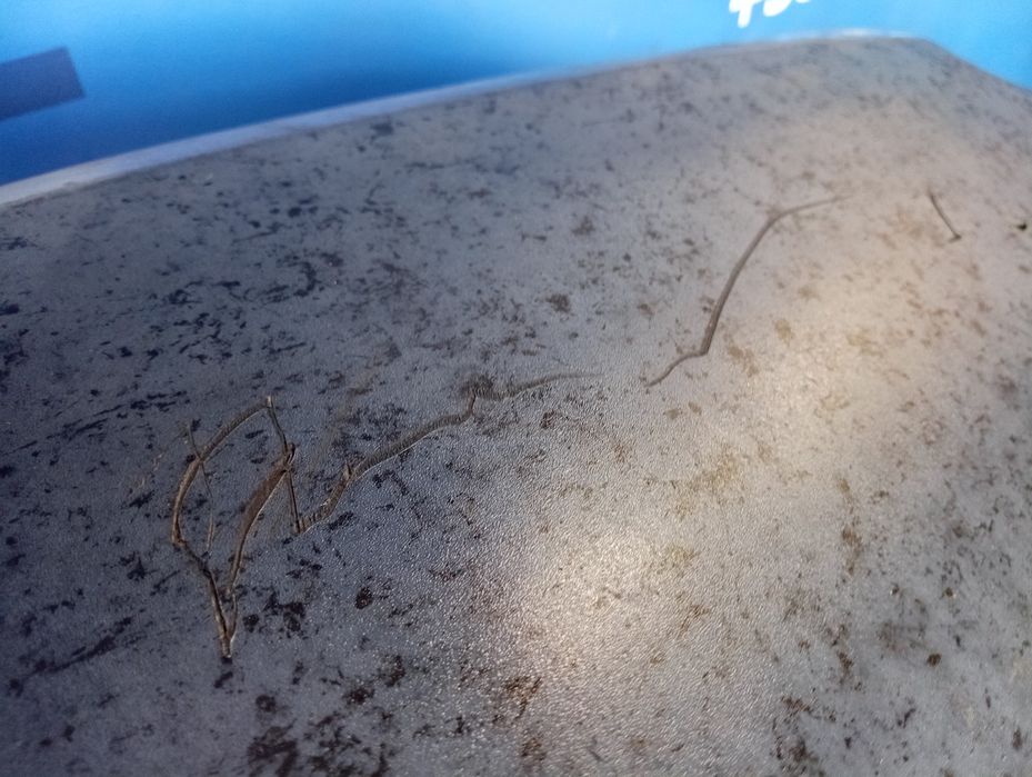 Бампер передній Рено Трафік  Шрот Авторозборка Trafik Розборка Шрот