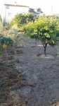 Terreno em Viseu-Fornos Maceira Dão, Mangualde