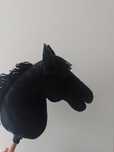 Hobby horse kary