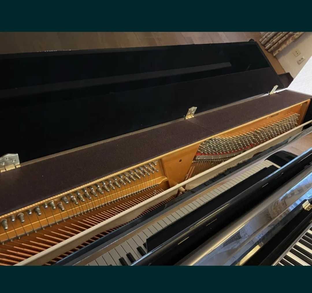 Piano vertical Olliveira & Saavedra
