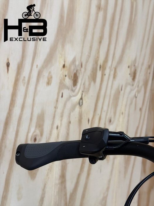 Flyer Gotour 6 5.41 R Shimano Nexus 2023