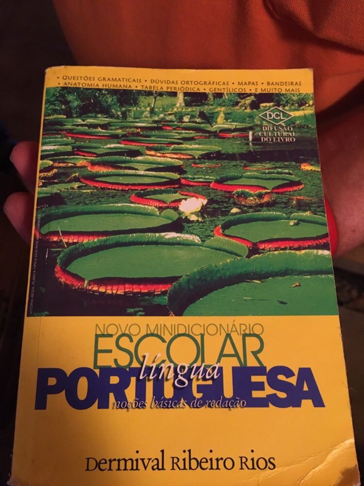 Dois 2 Dicionários língua portuguesa