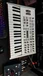 Access Virus Ti Polar
