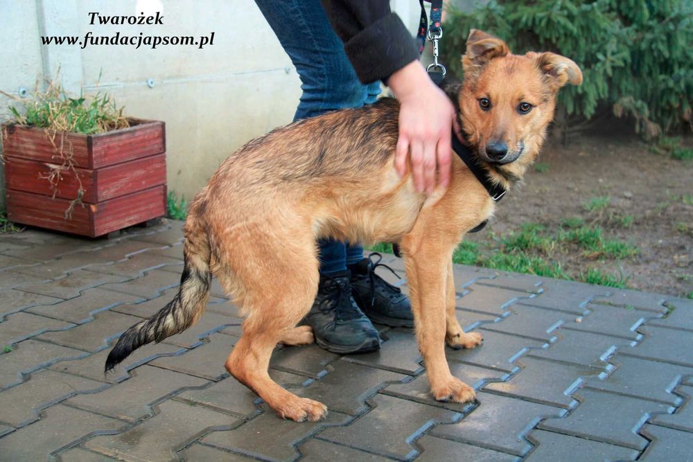 Twarożek - rozkoszny młodziak