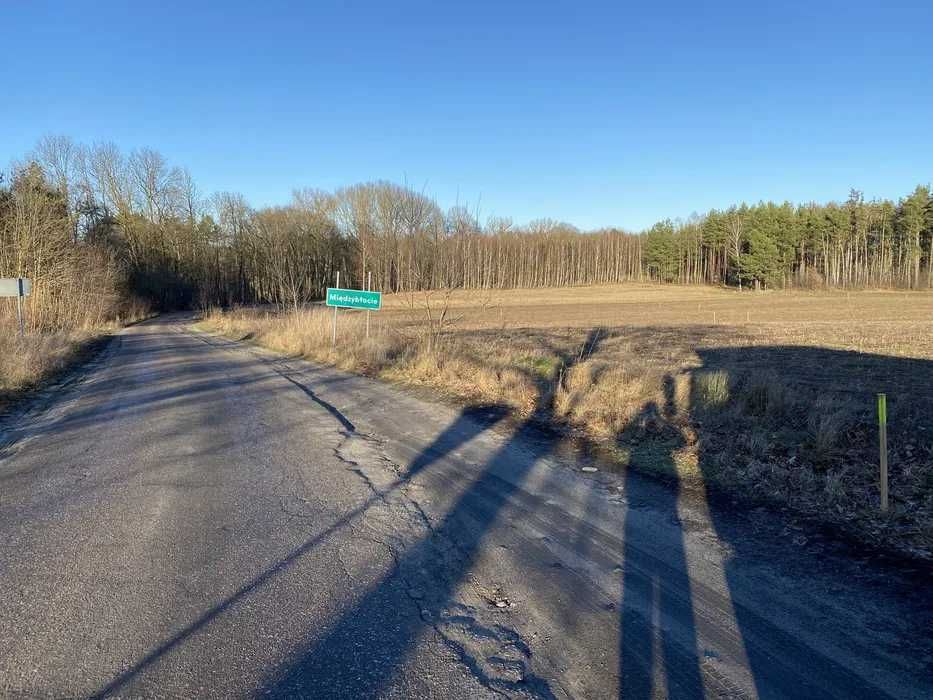 Działka budowlana w Międzybłociu przy drodze wojewódzkiej