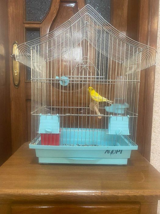 Клітка для канарейок
