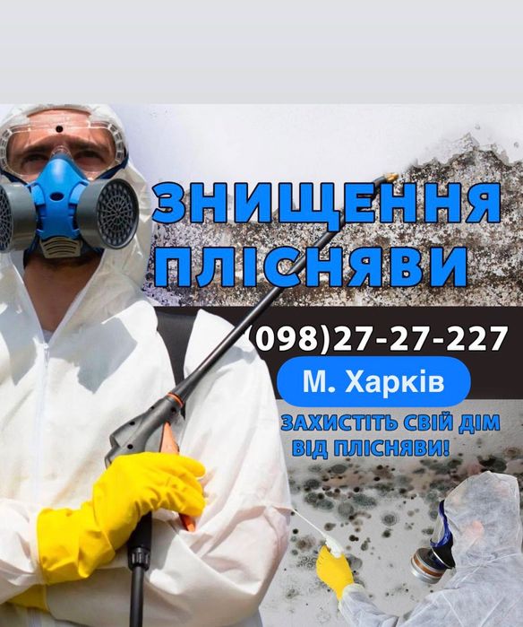 ‼️ Удаление Грибка ПЛЕСЕНИ Знищення Плісняви , запаху Дезинфекция