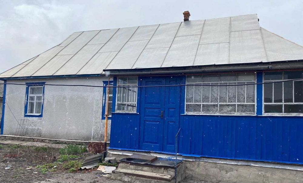 Бучанський район, село Пашківка, вул. Центральна, 110м2, 30 соток