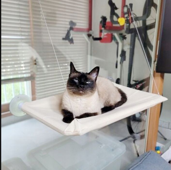 Legowisko, hamak na okno dla kota