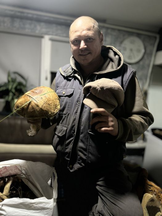 Жилетка на синтопоні подовжена!