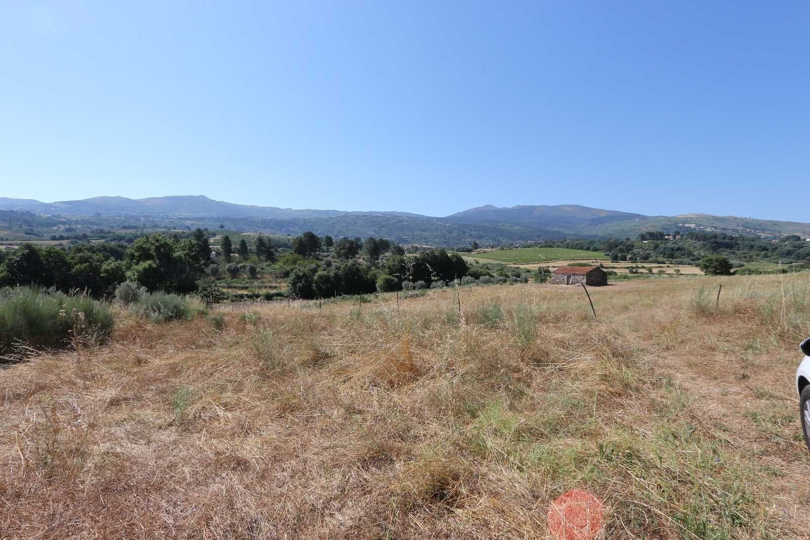 Quintinha com 13.400m² à venda na Serra da Estrela (30.000€)