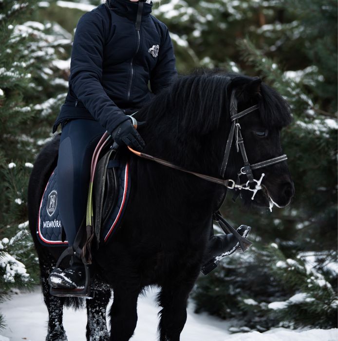 Kuc Kucyk wałach 7 lat