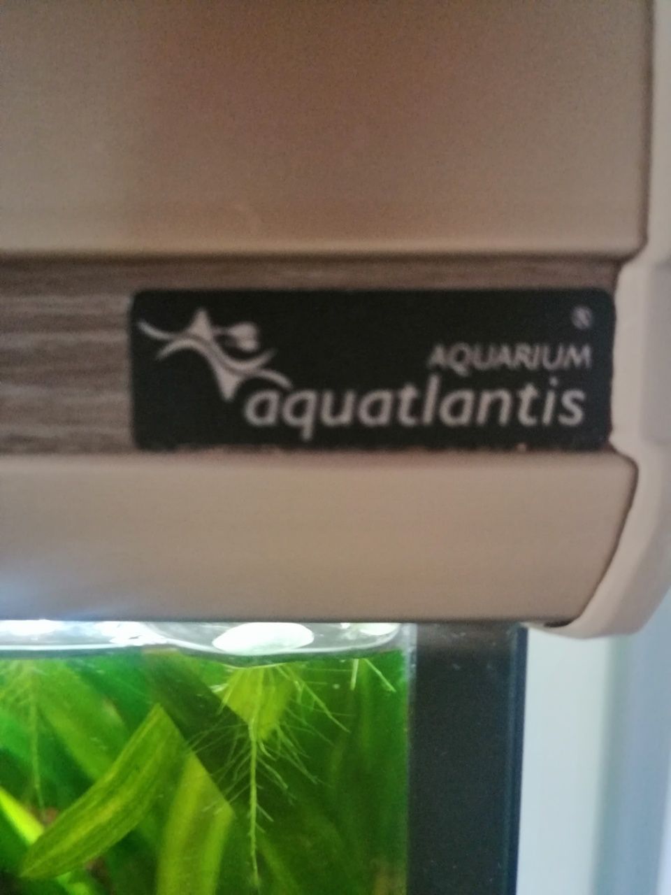 Aquario Aquatlantis Fusion Pro 80