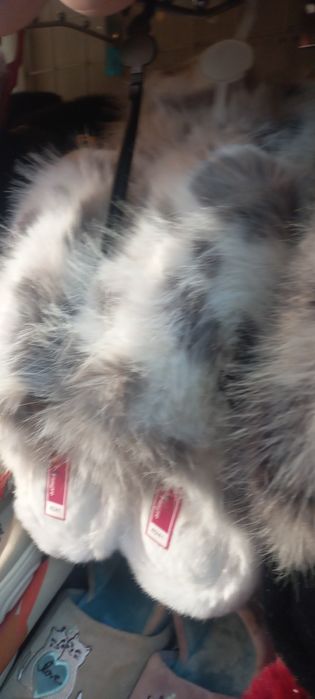 Тапочки комнатные