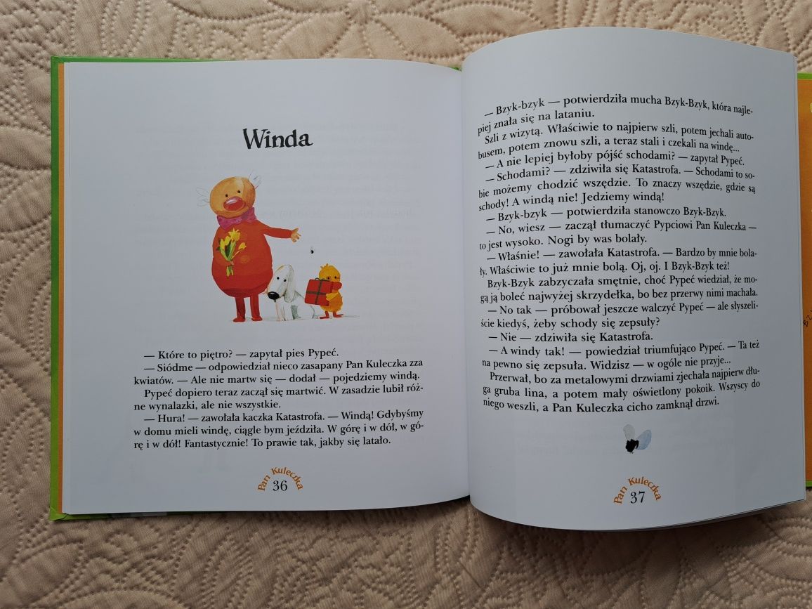 Książka dla dzieci Pan Kuleczka Skrzydła Wojciech Widłak