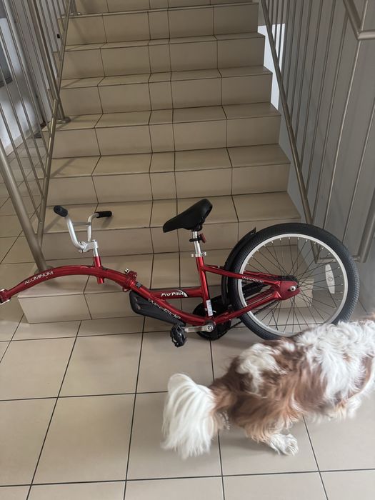 Przyczepka rowerowa Weeride