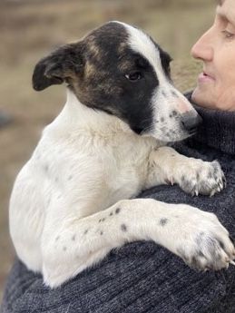 Знайдись, родина!