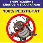 Знищення Тарганів Клопів Блох Кліщів Комарів Пацюків мишей комах