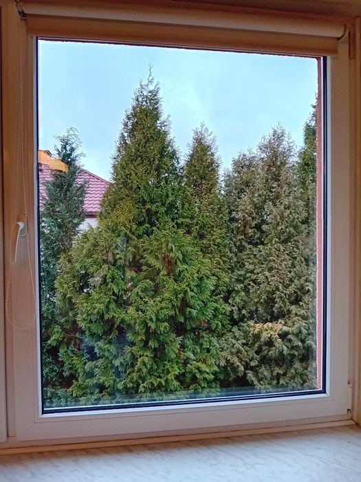 REN-WIL Usługi sprzątania i outsourcingu  dla hoteli