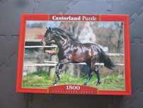 Duże puzzle Koń nowe