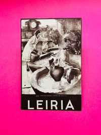 Leiria - Autores Vários