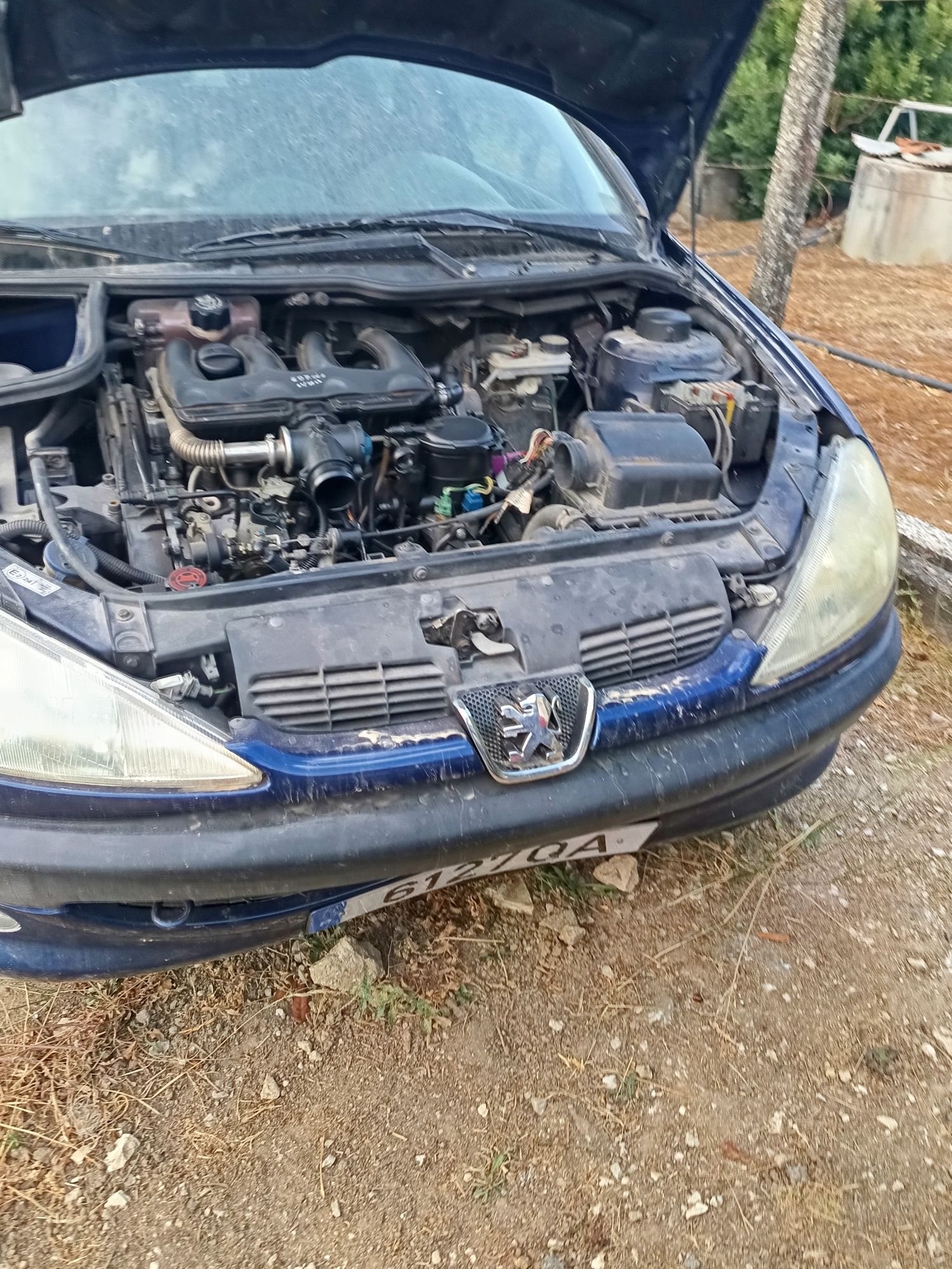 Peugeot 206 1.9 d