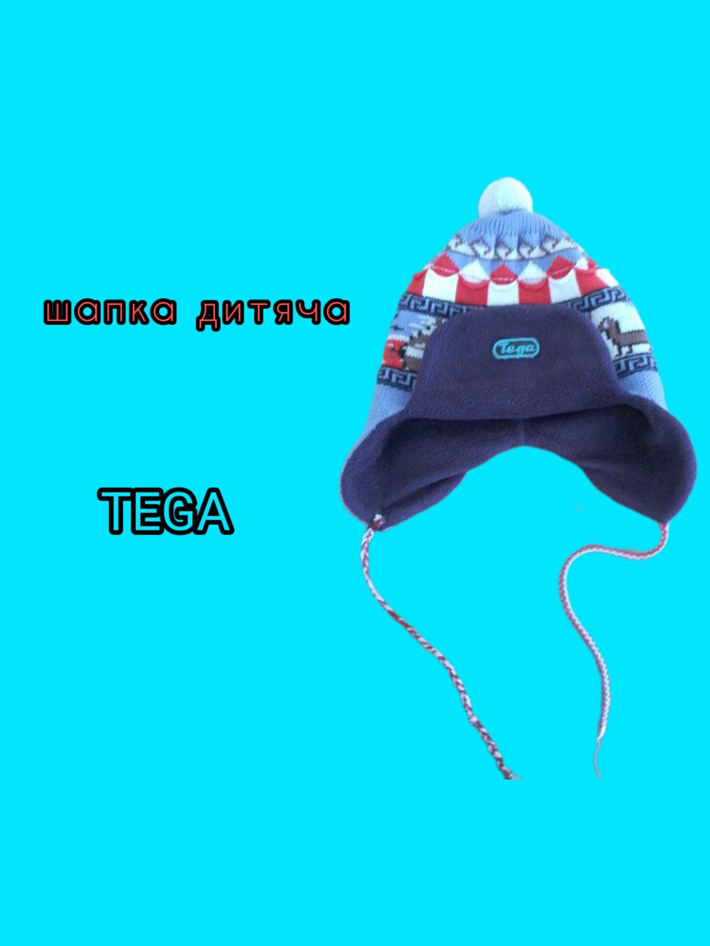 Шапка хлопчача Tega  зимова на 2-5р.