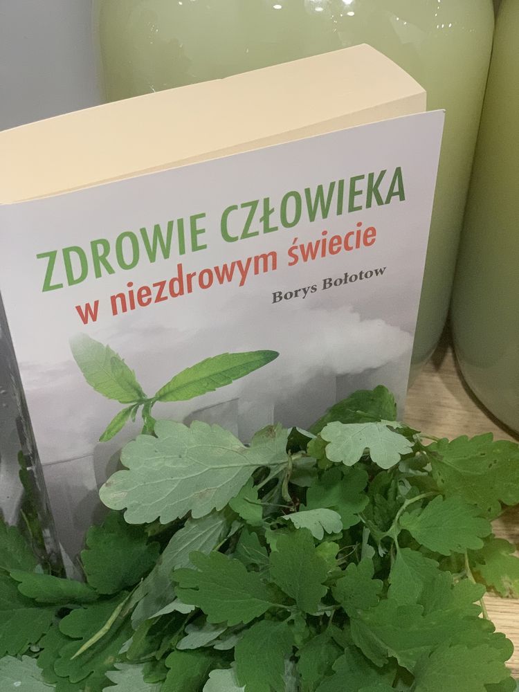 Enzymy zakwas prof. Bolotowa 1 litr