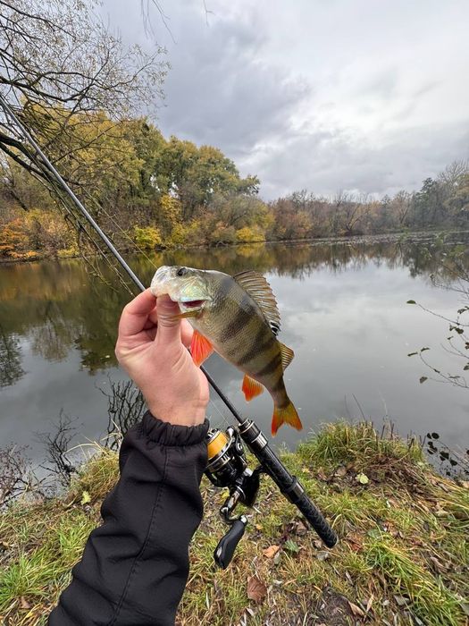 Azura X-Game X64SUL Nano TZ 1.93м 0.2-2г