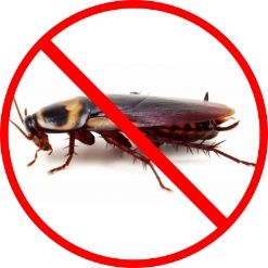 Уничтожение тараканов с гарантией! Безопасно.Самые современные методы!