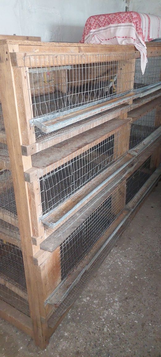 Продам клітки для утримання перепелів