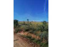 Herdade da Torrinha 263 hectares em Rasmalho ,Portimão
