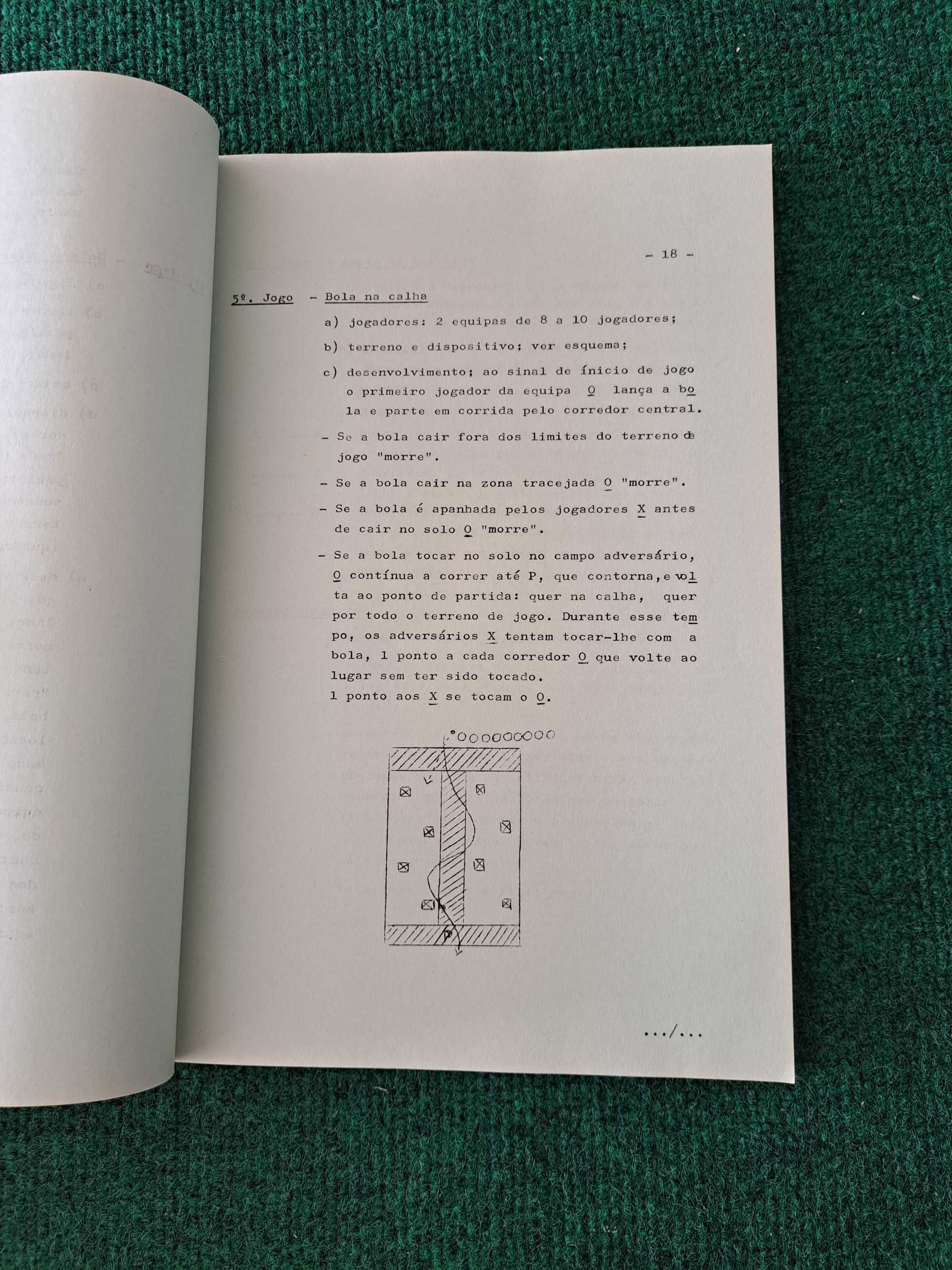 O Mini Basquetebol no Meio Escolar - Prof. Miguez Araújo