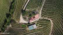 Quinta de Charme no Coração do Douro – Uma Oportunidade Única