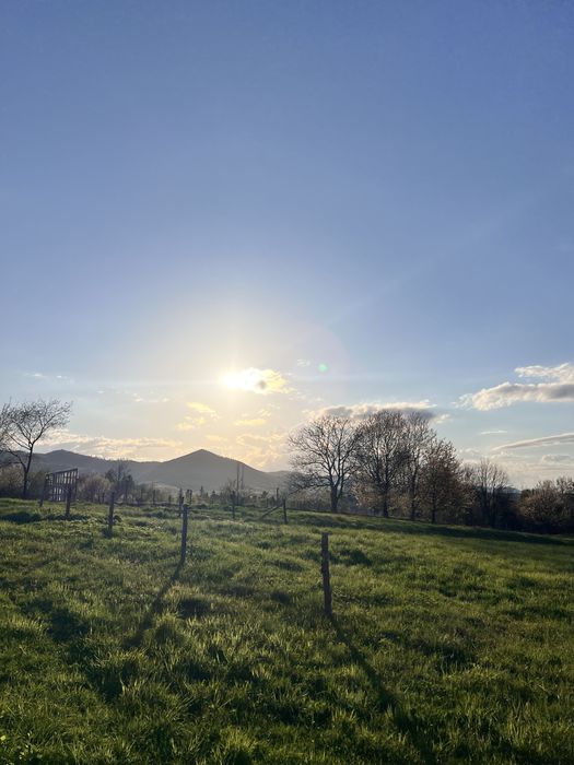 Довгострокова оренда будинку і зем. ділянка 1 Га с/г призн.