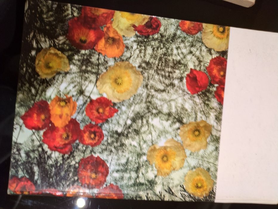 O Livro da Mulher, ano de 1971