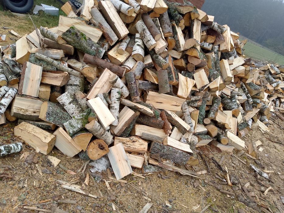 Drewno opałowe brzoza