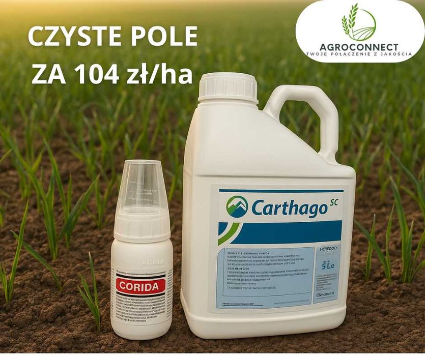 Saletra amonowa ANVISTAR Canvil NPK BISON Sól potasowa dostawa w cenie