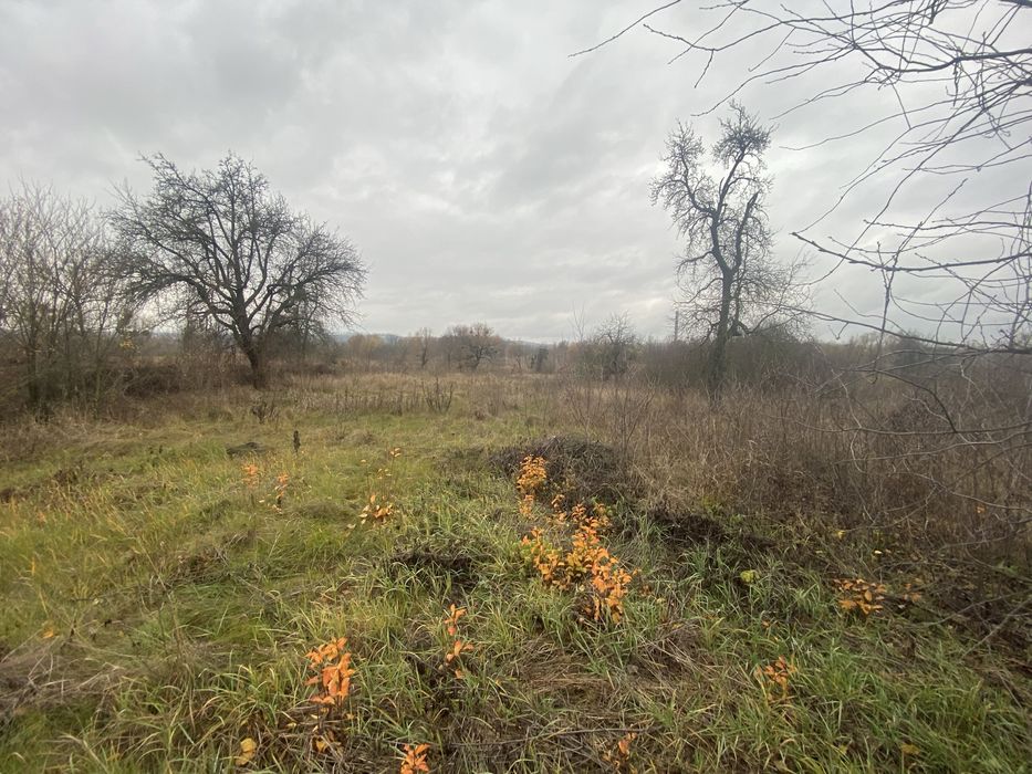 Будинок біля озера